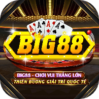 big88-logo Logo Big88