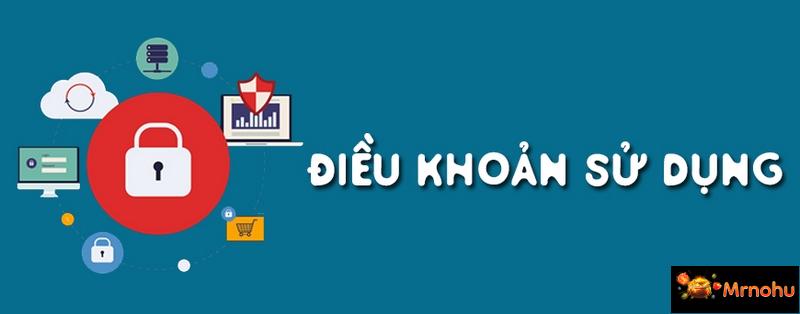 Thông tin bật mí về điều khoản sử dụng mrnohu.com