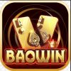logo baowin