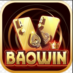 logo baowin